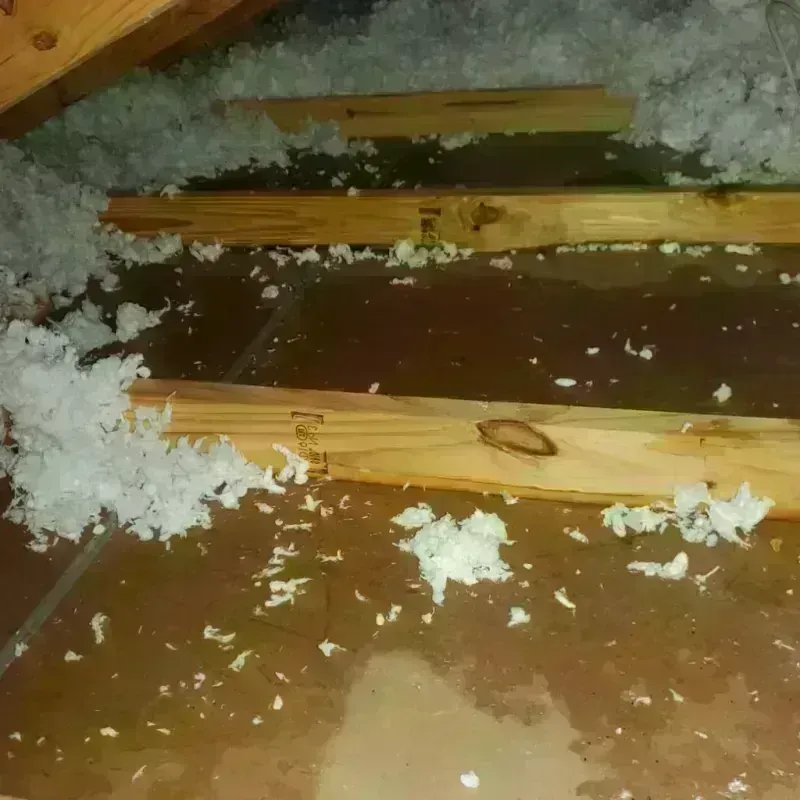 Attic Water Damage in Wofford Heights, CA